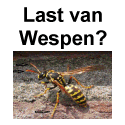 wespenbestrijding